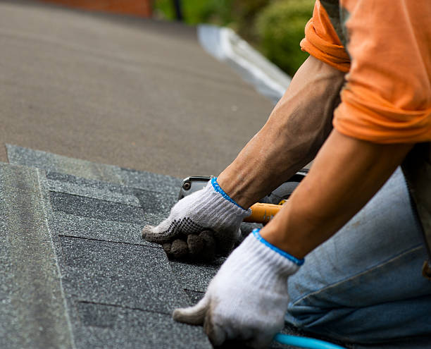 Best Roof Repair Services  in Shady Hills, FL