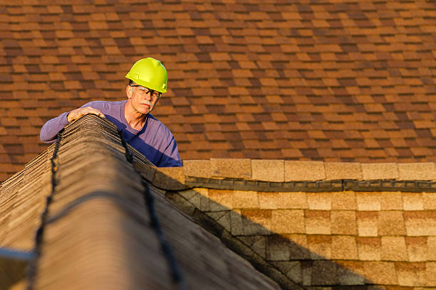 Best Roof Gutter Cleaning  in Shady Hills, FL