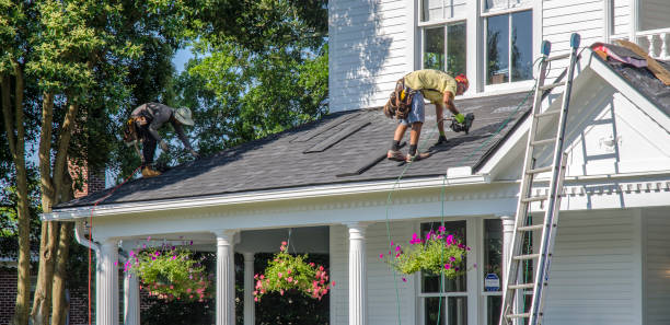 Best Commercial Roofing Services  in Shady Hills, FL