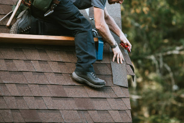 Best Gutter Installation and Roofing  in Shady Hills, FL